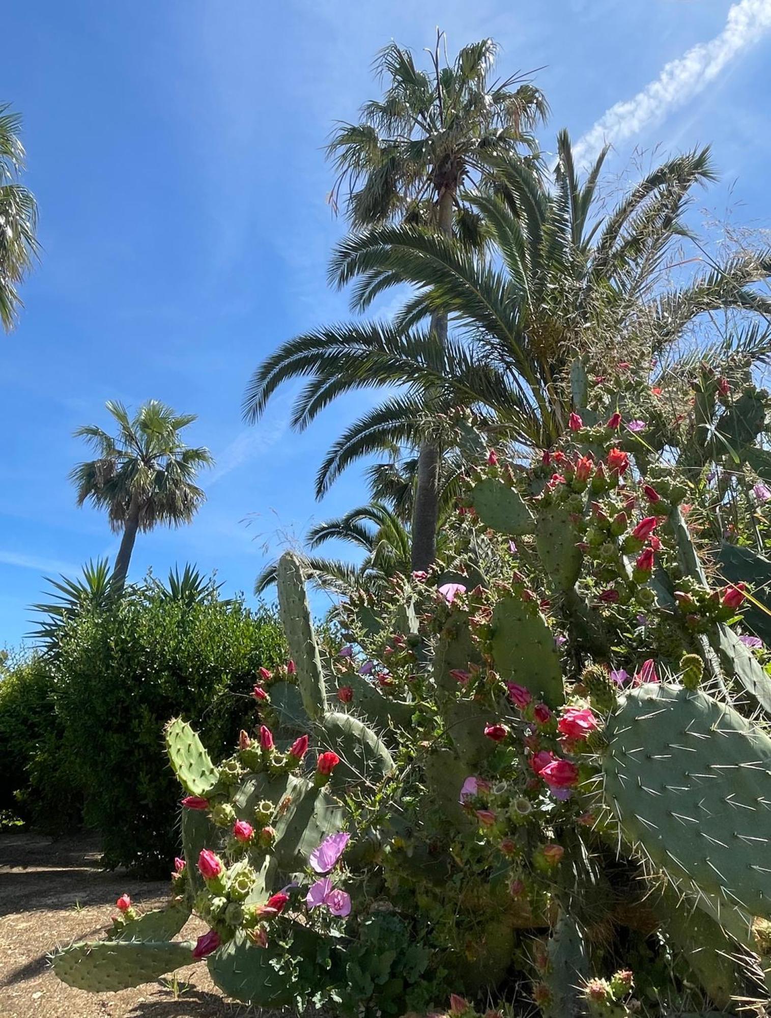 Appartamento Casa Atlantida Golfemar Carvoeiro  Esterno foto